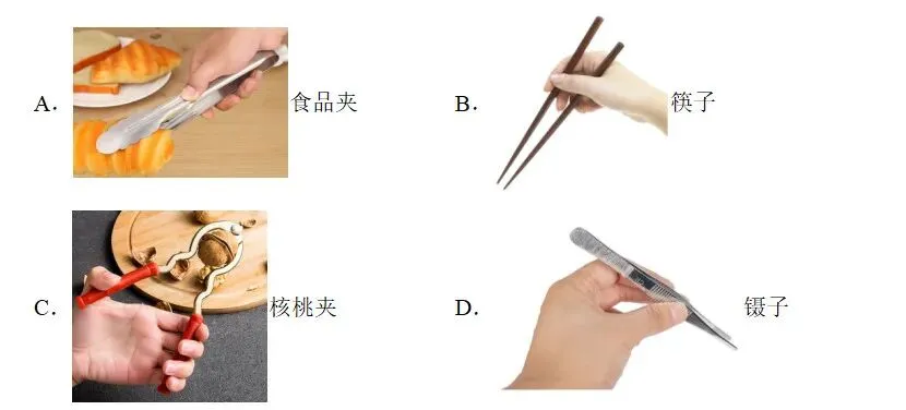 【第905期】公益课堂:【九年级中考第一轮复习 专题16《杠杆习题》】(九年级第二学期复习教学 第5张