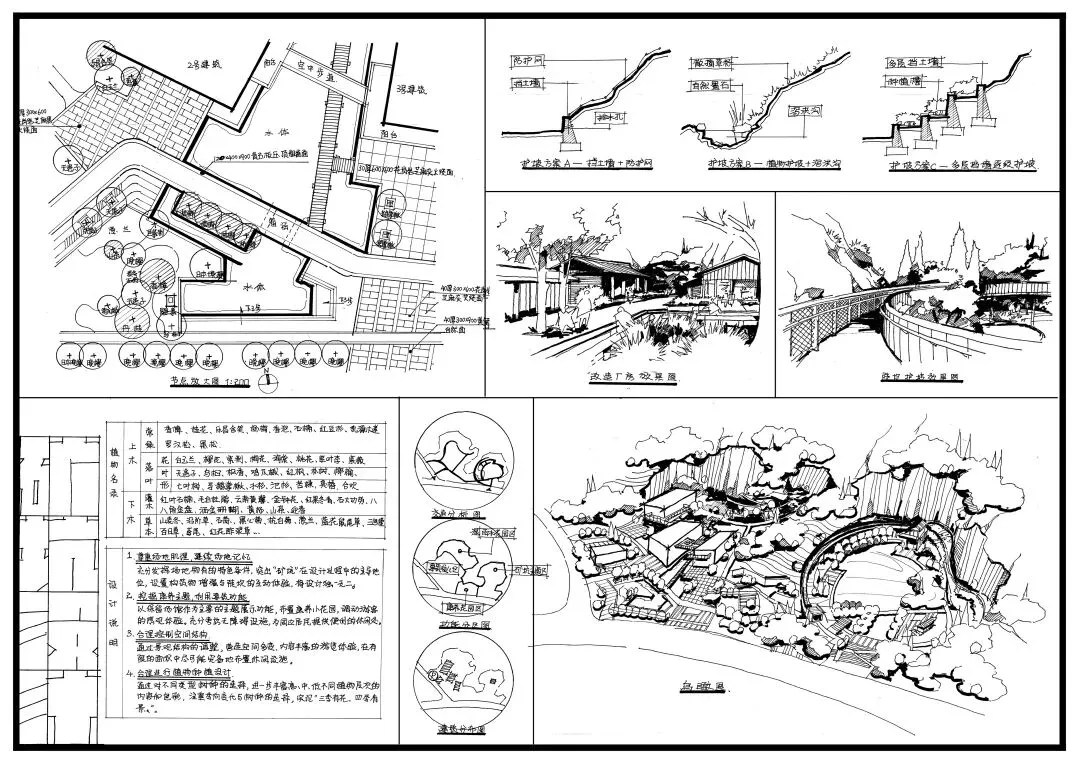 浙江农林大学 历年快题真题解析(近十一年) 第11张
