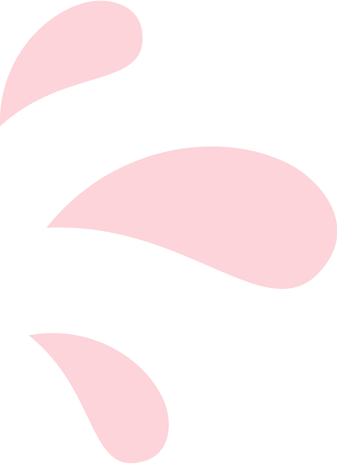 中考冲刺在即,九亿尚学为你奉上专属文综备考指南,助力孩子夯实基础、高效提分,从容迎战! 第7张