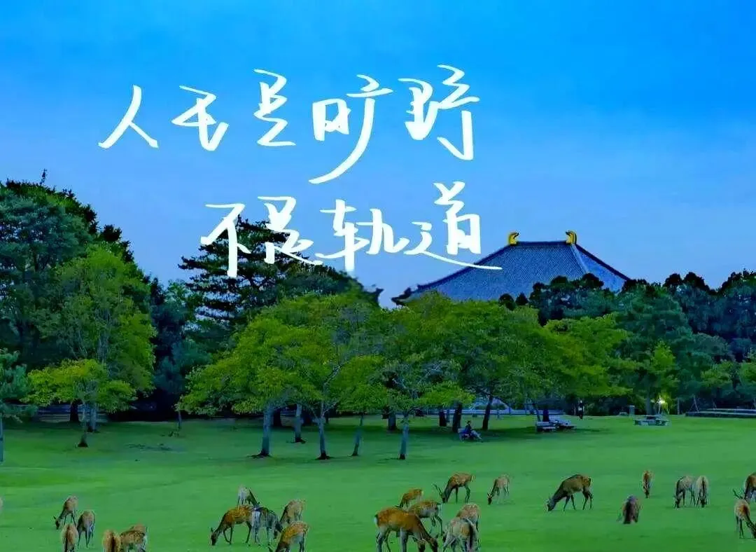【备考】成都市2026届蓉城联盟4月模拟考作文分析 第3张