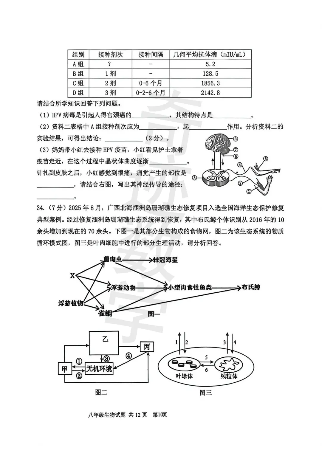2026市南八年级一模生物试卷及参考答案 第12张