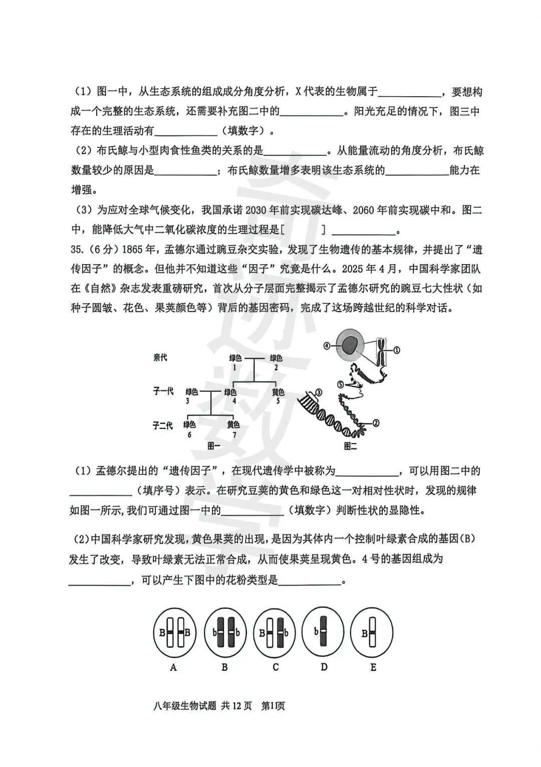 2026市南八年级一模生物试卷及参考答案 第13张