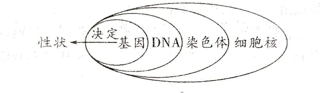 中考科学知识点复习9 第2张