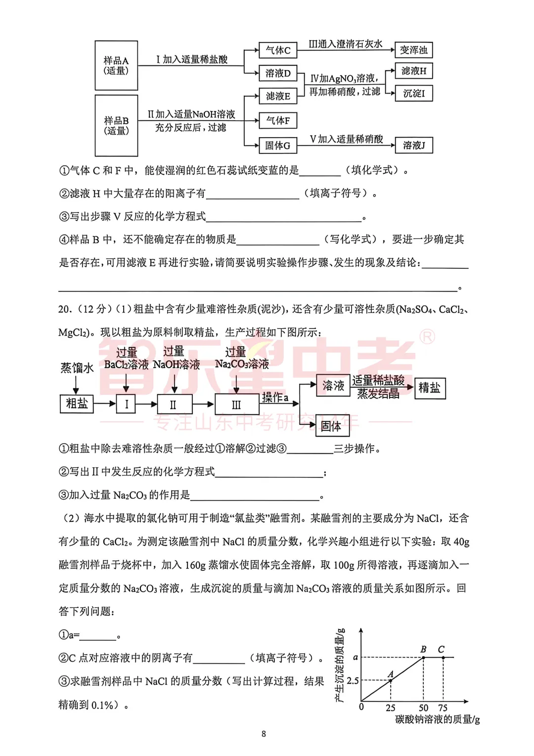 2026年济南市章丘区初中学业水平考试模拟试题一(化学) 第10张