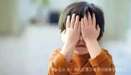 同心筑梦,冲刺中考|4月15日下午,映山红心理咨询为华朗学校初三学子开展亲子心理团辅 第27张