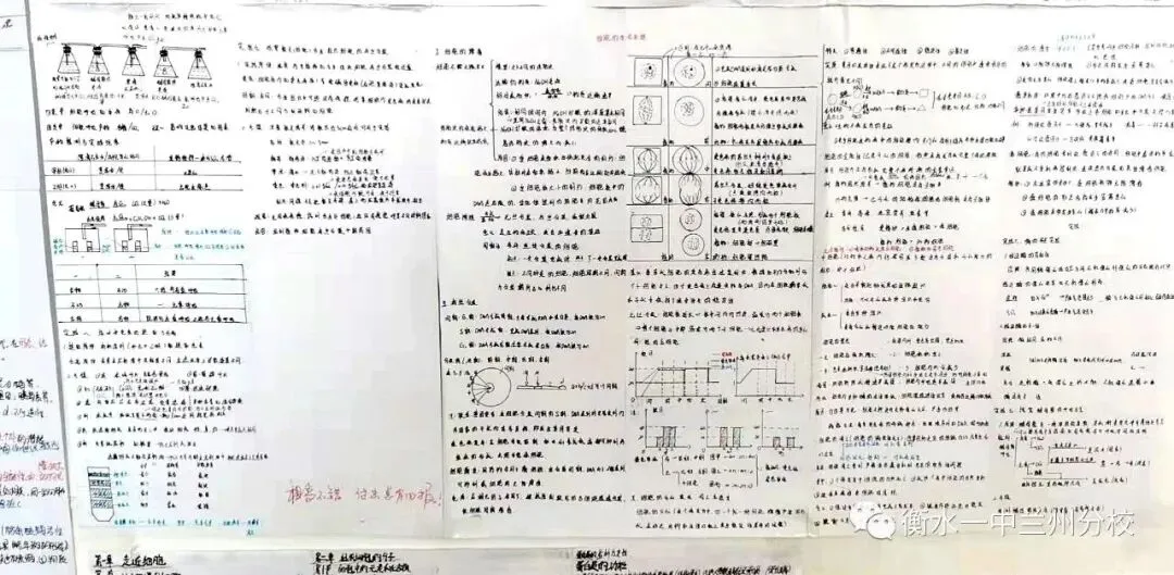 【诚挚邀请】兰州衡文中学2026年中考招生校长接待日暨校园开放周 第178张