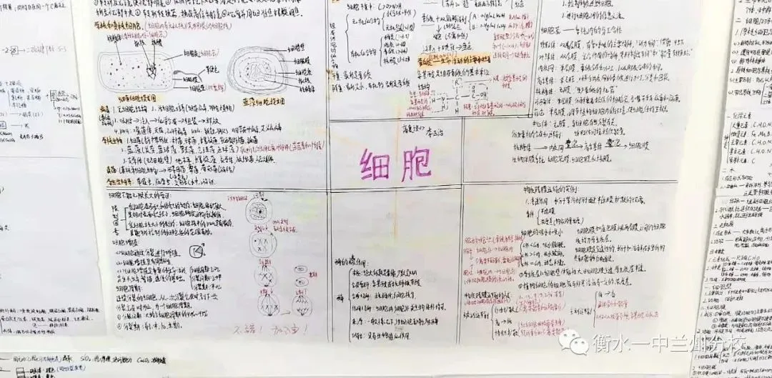 【诚挚邀请】兰州衡文中学2026年中考招生校长接待日暨校园开放周 第179张