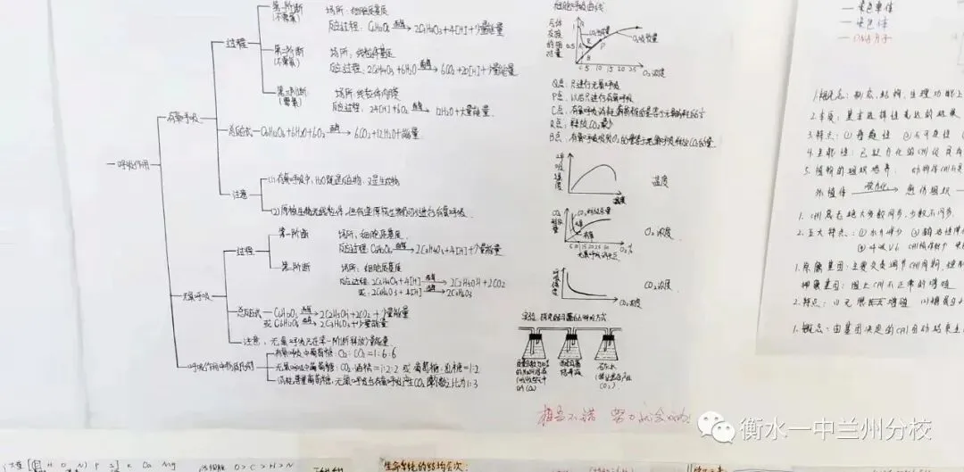【诚挚邀请】兰州衡文中学2026年中考招生校长接待日暨校园开放周 第180张