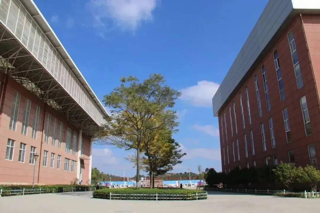 曲靖市2026中考自主招生情况前瞻(V2604) 第5张