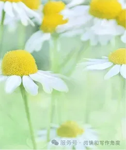 中考作文押题“学习与求知”——高分作文写作思路拆解.附范文,可打印 第15张