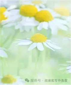 中考作文押题“学习与求知”——高分作文写作思路拆解.附范文,可打印 第16张