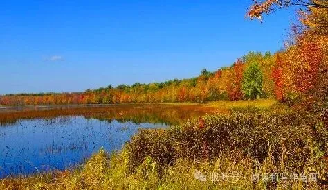 中考作文押题“学习与求知”——高分作文写作思路拆解.附范文,可打印 第18张