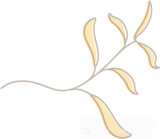 中考作文押题“学习与求知”——高分作文写作思路拆解.附范文,可打印 第23张