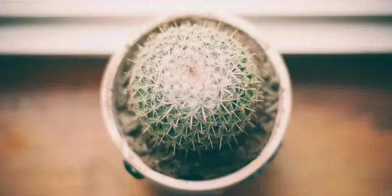 中考是失利后,我和我的儿子的双向救赎 第3张