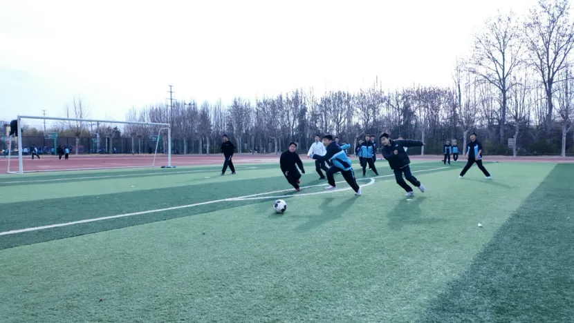 以体赋能 决胜中考 第21张