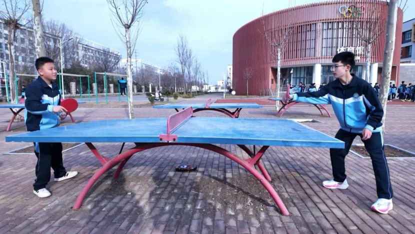 以体赋能 决胜中考 第22张