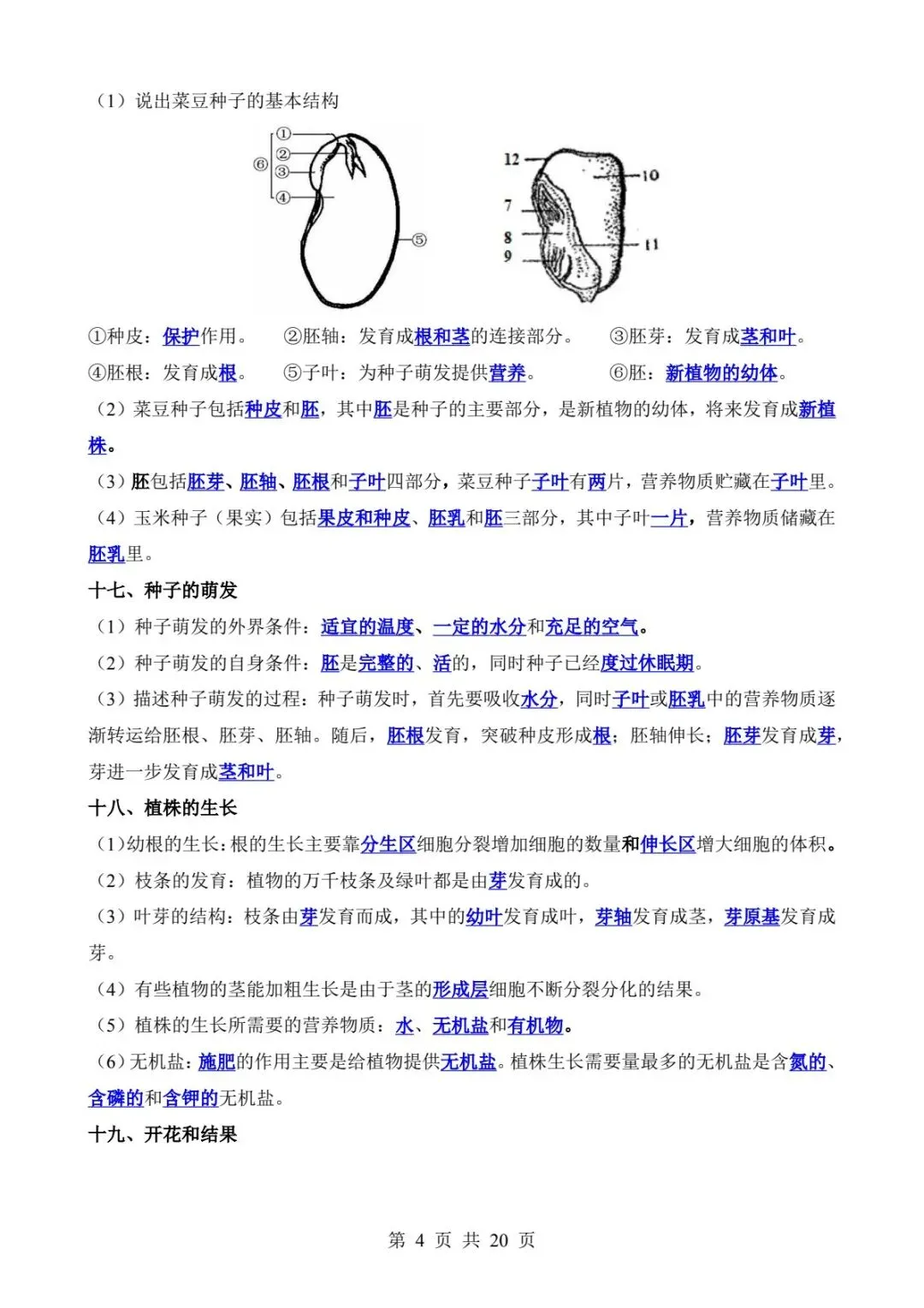 2026中考生物提分干货丨核心考点背诵(电子版可打印) 第12张