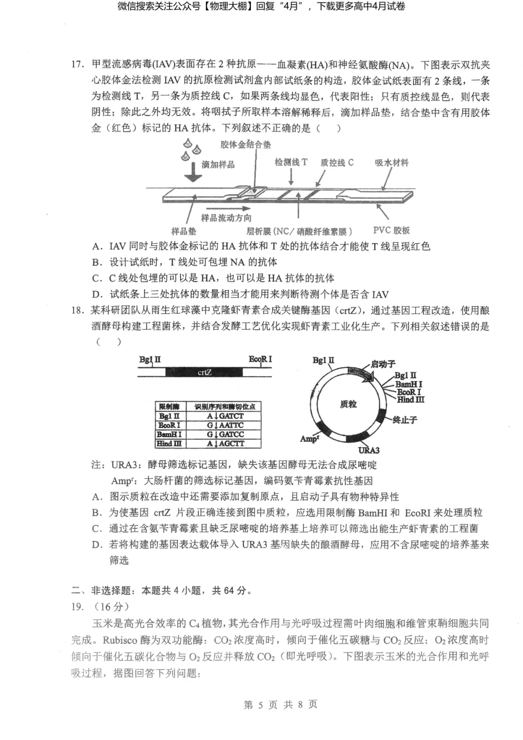 全科更新!2026届湖北新八校4月检测试卷+答案,可下载! 第79张