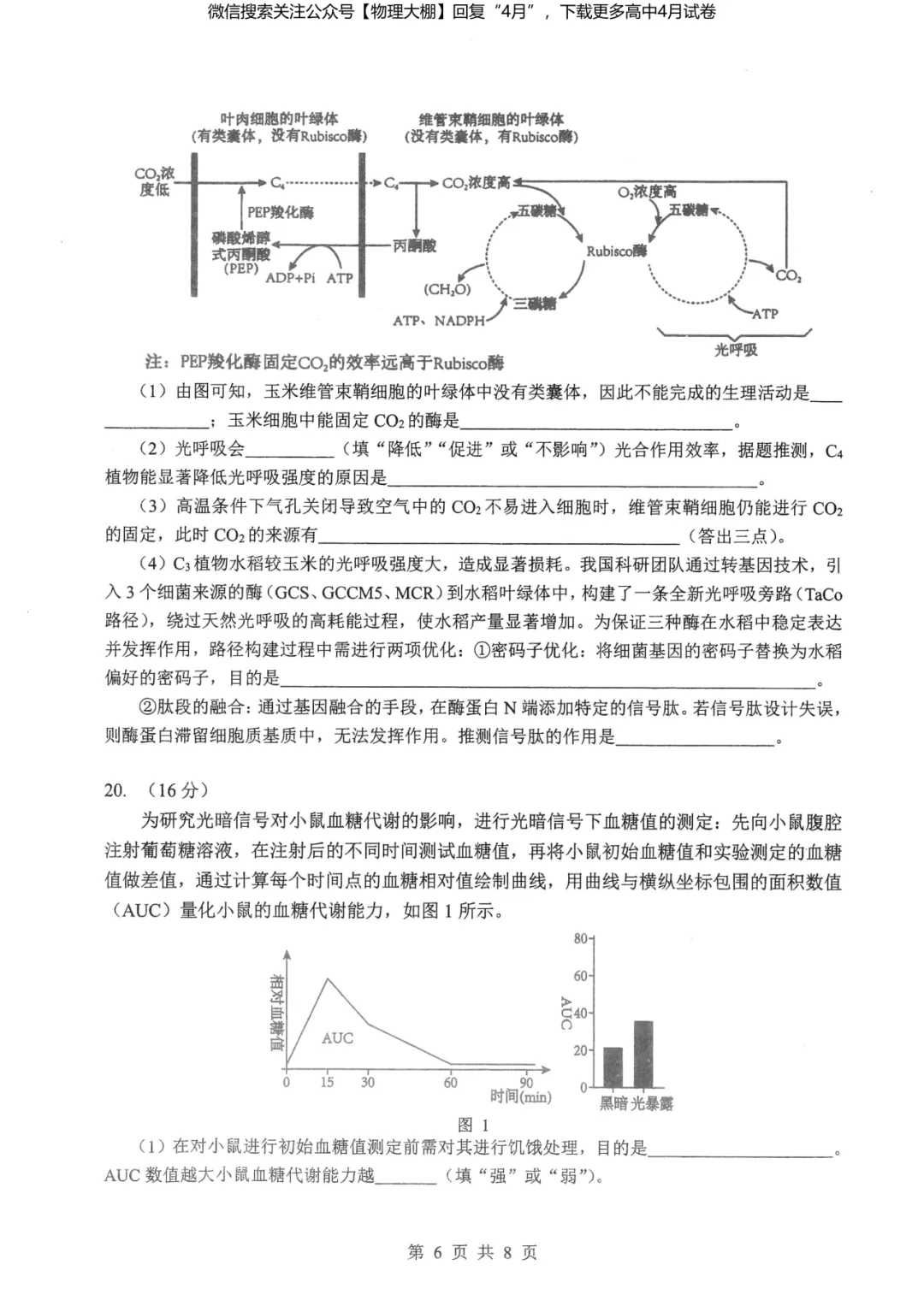 全科更新!2026届湖北新八校4月检测试卷+答案,可下载! 第80张