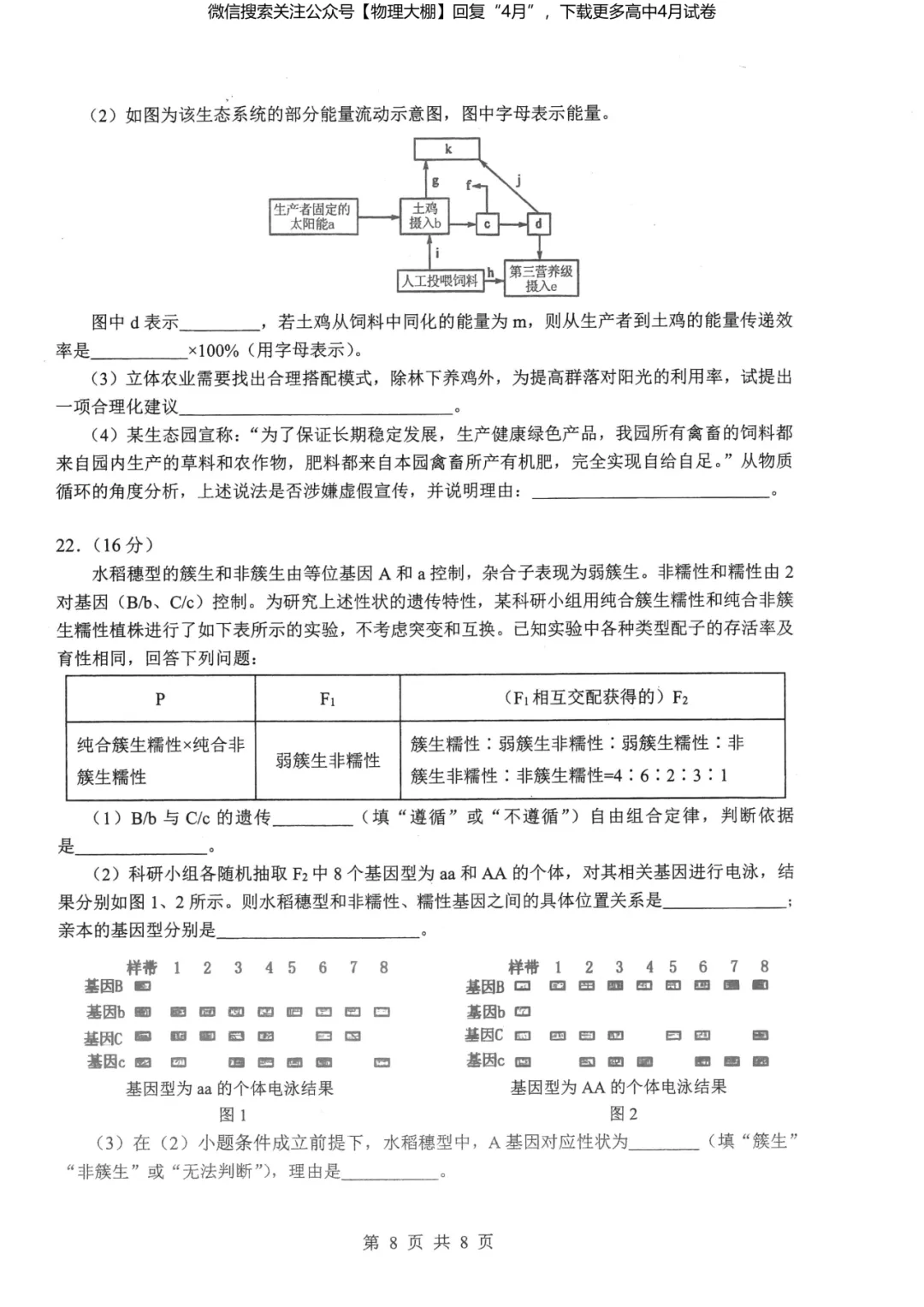 全科更新!2026届湖北新八校4月检测试卷+答案,可下载! 第82张