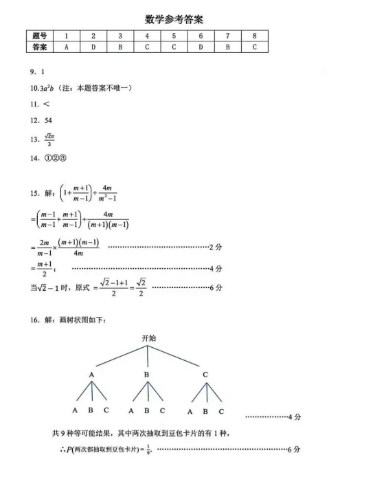 2026年4月德惠市九年级数学模拟试卷及动态解析. 第13张