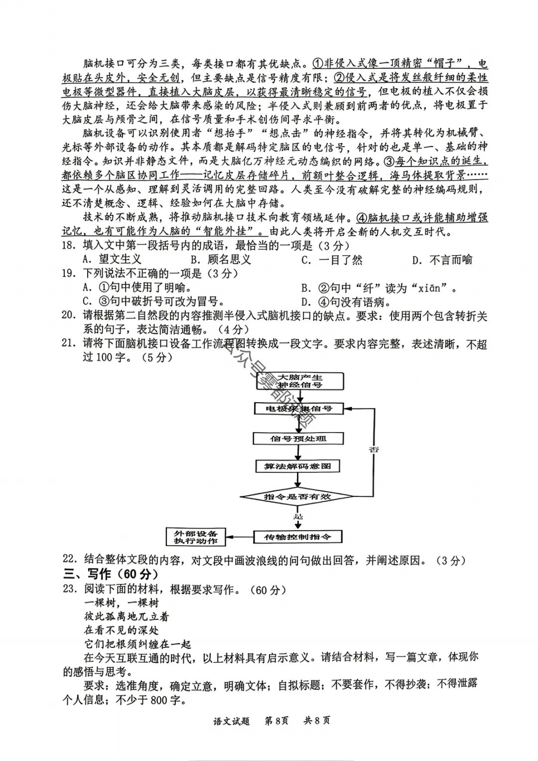 【惠州二模】广东省惠州市2026届高三模拟考试试题答案 第9张