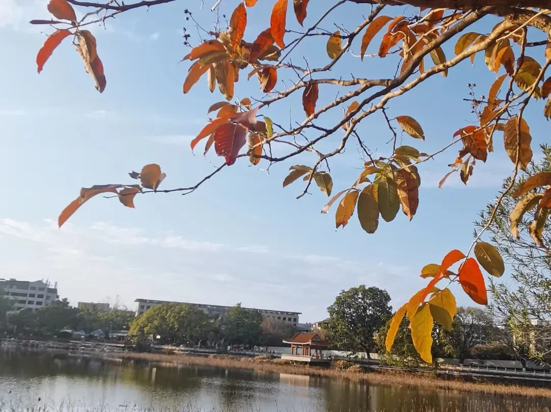 体育中考落幕:关关难过,你们关关过 第1张