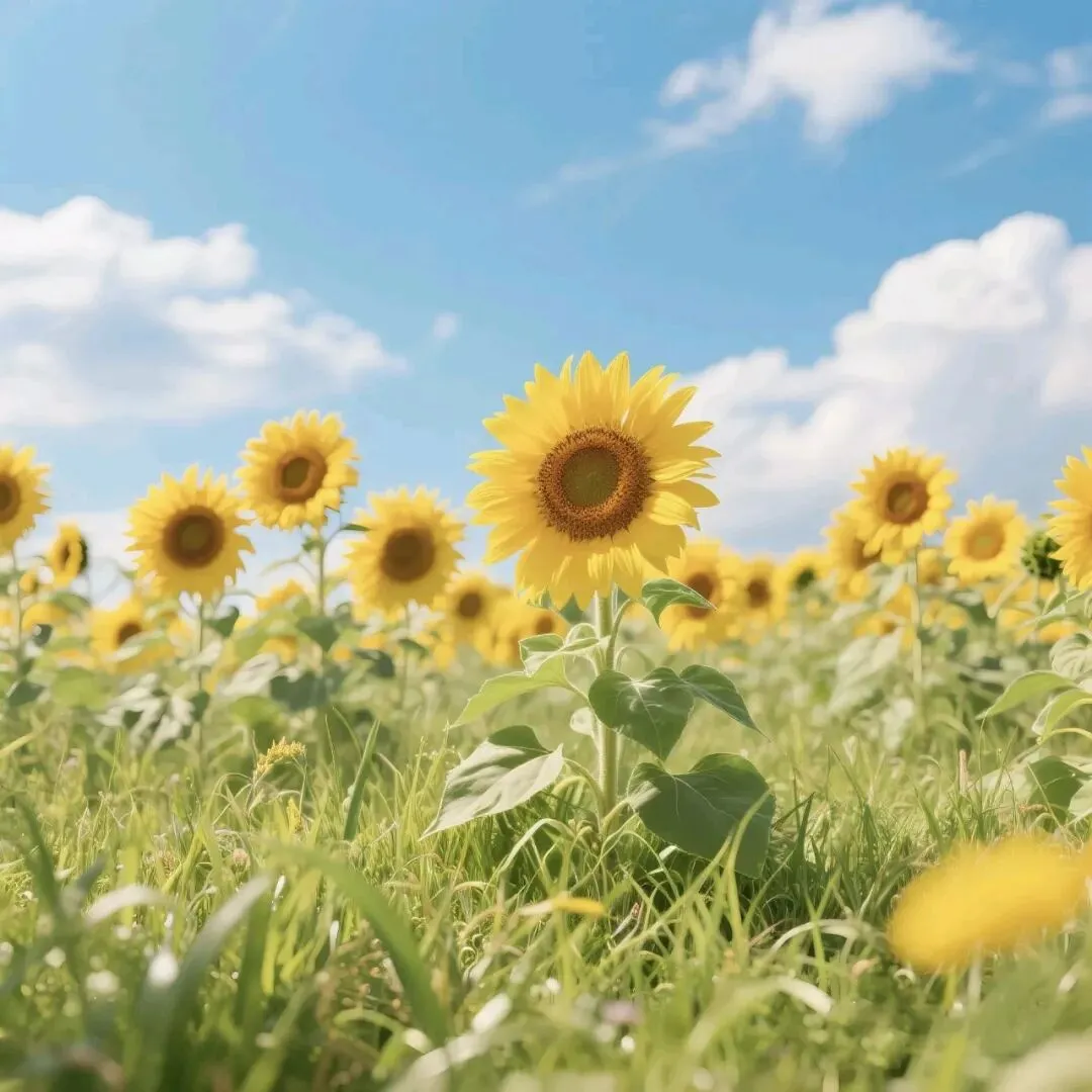 中考倒计时66天|校模只是一场小考,孩子,你的主场还在6月 第2张