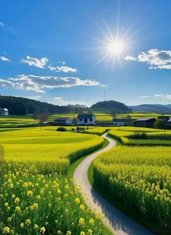 中考化学复习:金属和金属材料 第85张