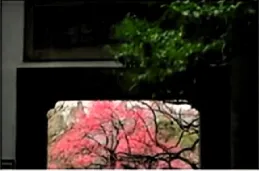 2026中考语文模拟试卷及参考答案(1)【可打印】 第7张 2026中考语文模拟试卷及参考答案(1)【可打印】 第7张