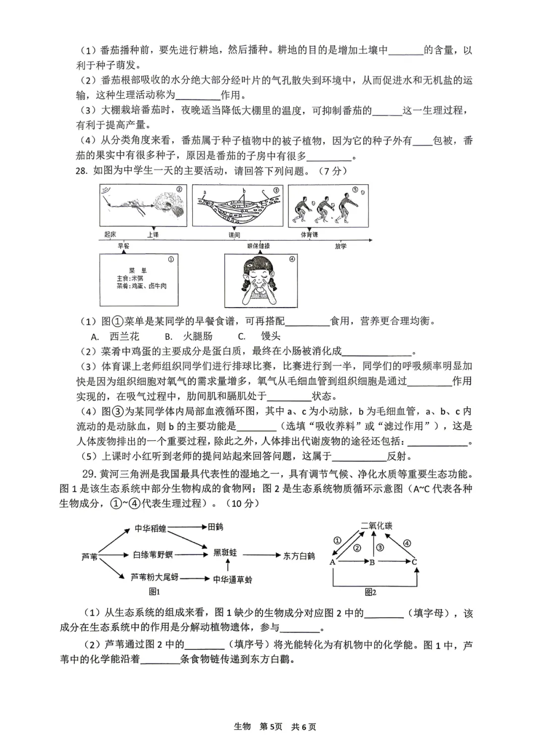 复习练手 ︳2026年湖南省初中学业水平考试模拟试卷生物学 (四)+答案 第5张 复习练手 ︳2026年湖南省初中学业水平考试模拟试卷生物学 (四)+答案 第5张