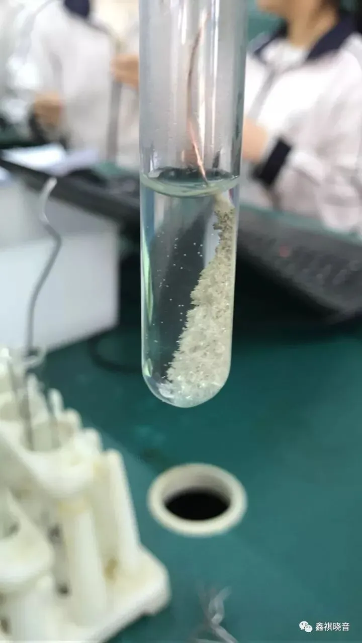 中考化学专题突破——金属活动性顺序的验证与探究 第1张 中考化学专题突破——金属活动性顺序的验证与探究 第1张