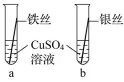 中考化学专题突破——金属活动性顺序的验证与探究 第3张 中考化学专题突破——金属活动性顺序的验证与探究 第3张