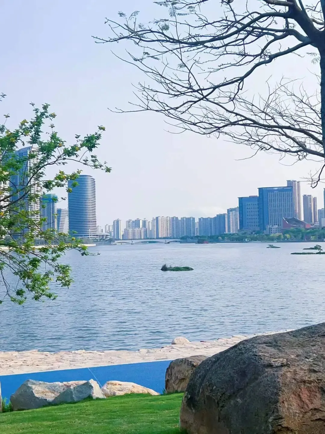 中考化学专题突破——金属活动性顺序的验证与探究 第12张 中考化学专题突破——金属活动性顺序的验证与探究 第12张