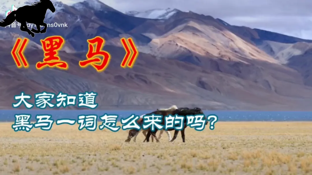 中考高考临近激励冲刺主题班会【如何成为黑马】(附课件+讲稿) 第6张