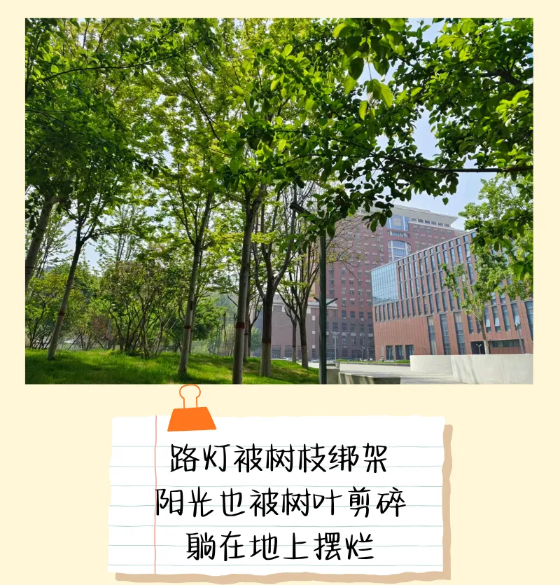 震惊!校园里竟然藏着一道完形填空真题 第8张 震惊!校园里竟然藏着一道完形填空真题 第8张