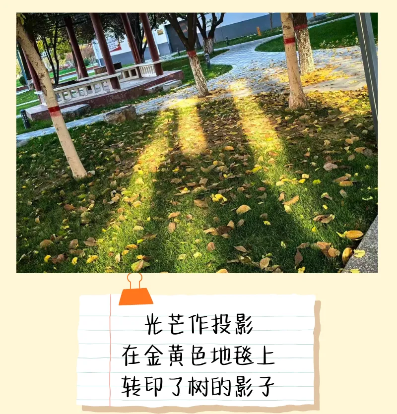 震惊!校园里竟然藏着一道完形填空真题 第12张 震惊!校园里竟然藏着一道完形填空真题 第12张