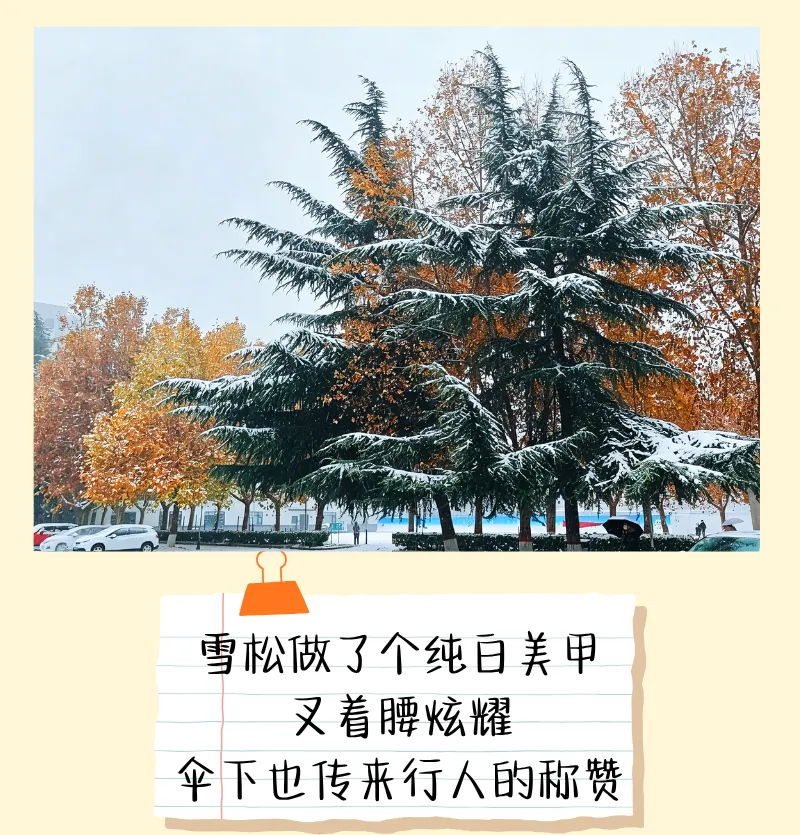 震惊!校园里竟然藏着一道完形填空真题 第14张 震惊!校园里竟然藏着一道完形填空真题 第14张