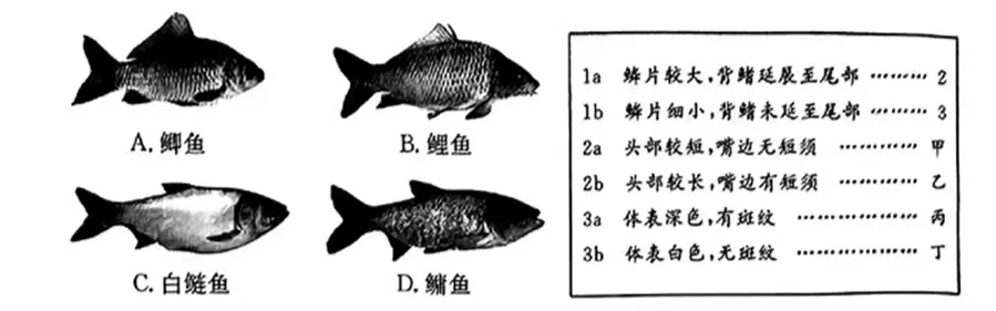 浙江中考科学2022——2024真题分类解析(二) 第1张