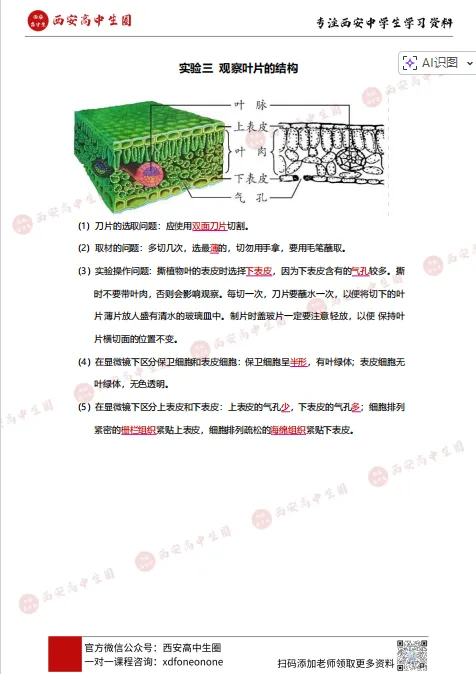 2026年陕西中考生物实验操作试题 第4张