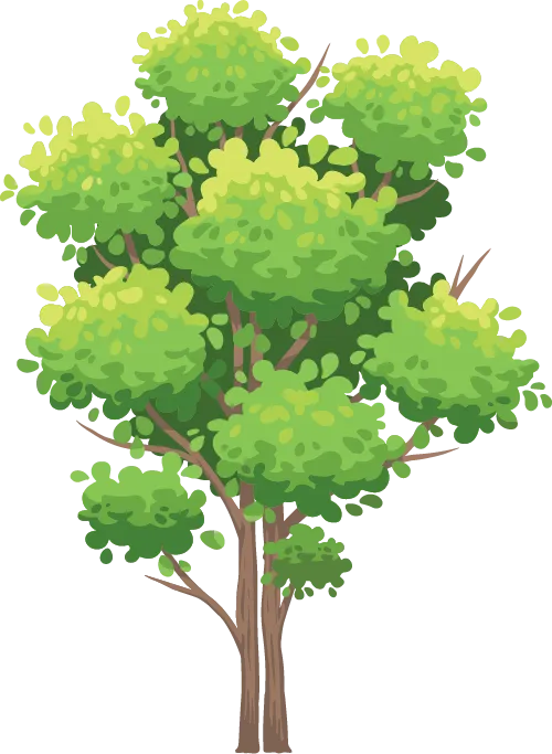 上海中考各科卷面构成及分值分布 第14张