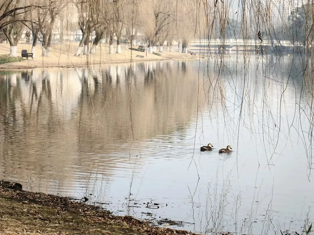 中考后还有高考,距离梦中情校“浙江大学”还有多远的距离(“小稻米”的浙大探校记) 第4张
