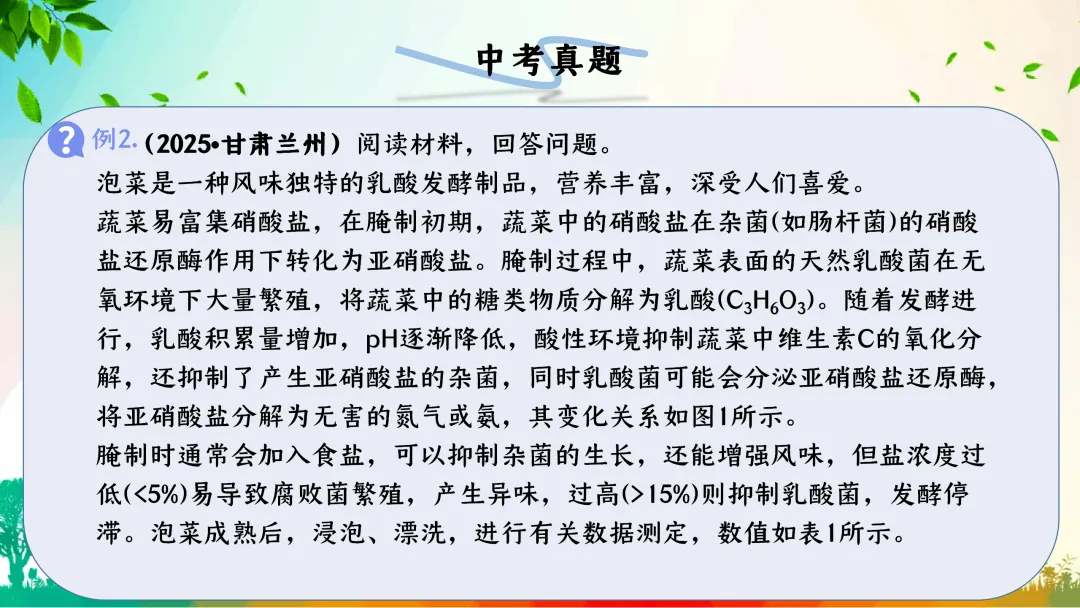 F863二轮中考专题复习 决胜中考2026 优质课资源包 初中化学《专题复习-科学探究-控制变量思想的实验(含对比实验)》课件PPT+教学设计Word 第11张