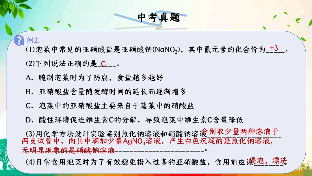 F863二轮中考专题复习 决胜中考2026 优质课资源包 初中化学《专题复习-科学探究-控制变量思想的实验(含对比实验)》课件PPT+教学设计Word 第13张