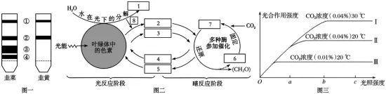 生物试卷+答案|高一下学期4月青桐鸣大联考 第7张
