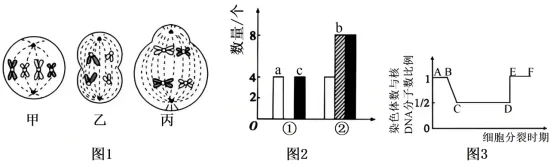 生物试卷+答案|高一下学期4月青桐鸣大联考 第8张