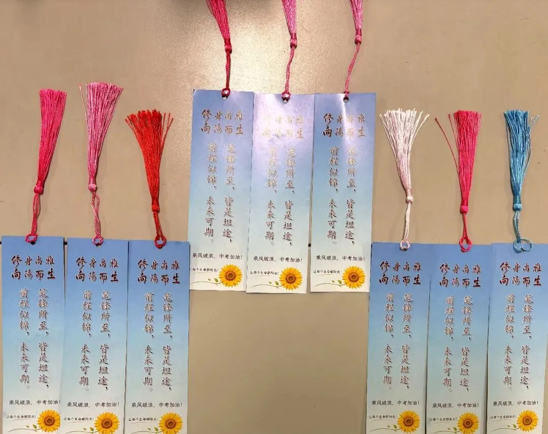 鏖战中考 逐梦青春——中部新城学校2026届毕业班誓师大会 第20张