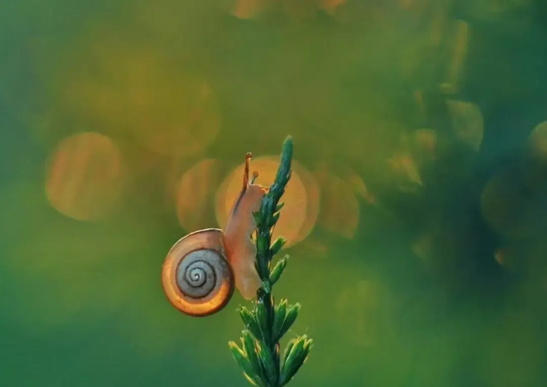 2026年中考作文预测及范文:那一刻,我遇见了_____(范文两篇) 第2张