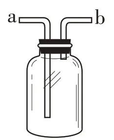 中考化学微专题复习——奇妙的“多功能瓶” 第18张