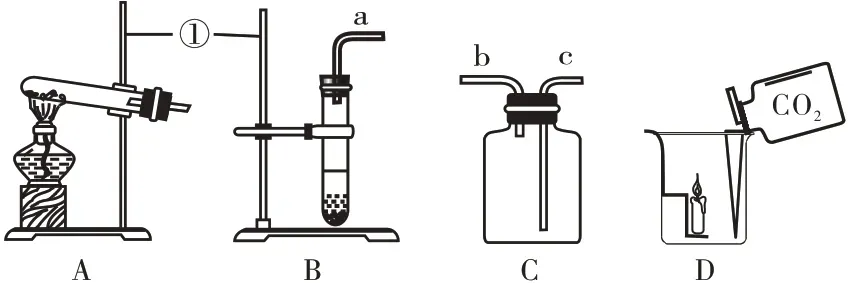 中考化学微专题复习——奇妙的“多功能瓶” 第19张